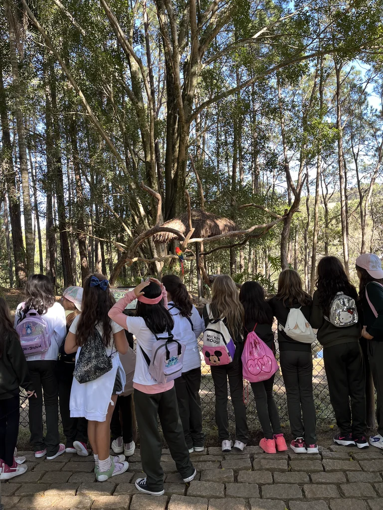 Juniors 3 on a Journey of Discovery at Zoopark