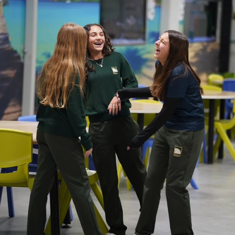 Conflito e estratégias de segurança